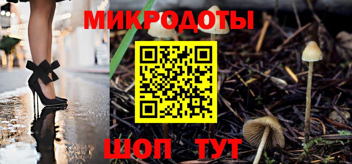 Коммунар  Галлюциногенные грибы мицелий  Вход с VPN  сколько стоит  Псилоцибиновые грибы мицелий 